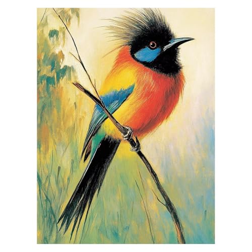 Vogel Malen Nach Zahlen Erwachsene, Malen Nach Zahlen auf Leinwand mit Pinsel und Acrylfarben 135 x 100Cm DIY Basteln Erwachsene Leinwand Bilder Tier für Deko Wohnzimmer Geschenke für Frauen LSJ-4340 von LUESSJAO