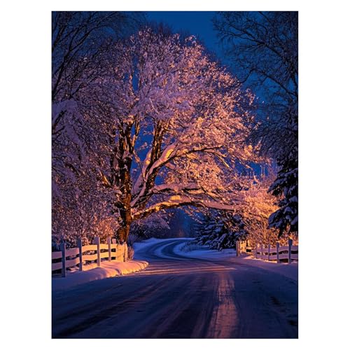 Winter Malen Nach Zahlen Erwachsene, Malen Nach Zahlen auf Leinwand mit Pinsel und Acrylfarben 95x70CM DIY Basteln Erwachsene Leinwand Bilder Landschaft für Wanddeko Wohnzimmer Geschenke LSJ-6986 von LUESSJAO