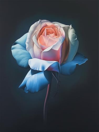 Blume Diamond Painting XXL Rose Crystal Art, Diamond Painting Eckige Steine Basteln Erwachsene Anfänger DIY Stickerei Kreuzstich Bastelset für Wanddeko, Zimmer Deko, Geschenke 20 x 30 cm -2502y0P Blume Diamond Painting XXL Rose Crystal Art, Diamond Painting Eckige Steine Basteln Erwachsene Anfänger DIY Stickerei Kreuzstich Bastelset für Wanddeko, Zimmer Deko, Geschenke 20 x 30 cm -2502y0P von LUESUAYN