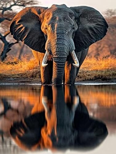 Elefant Diamond Painting XXL Tier Crystal Art, Diamond Painting Eckige Steine Basteln Erwachsene Anfänger DIY Stickerei Kreuzstich Bastelset für Wanddeko, Zimmer Deko, Geschenke 60x80cm -2502y37 von LUESUAYN