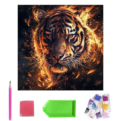 LUHOCIY Diamant Painting Bilder, Diamond Painting Anime, Diamond Painting Groß, Hauptsächlich Als Heim- und Bürodekoration für Eine Breite Palette von Anlässen und Personen Verwendet von LUHOCIY