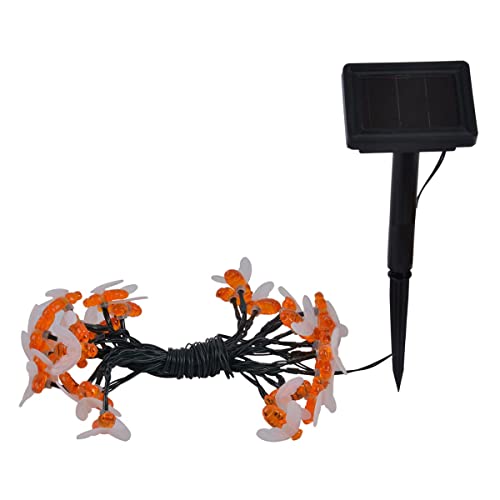 L6,35m BEE von LUMI JARDIN
