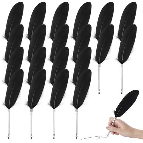20-teiliges Federstift-Set, kreative Kunststoff-Kugelschreiber für Büro, Schule, Hochzeit, Party, Gastgeschenke, schwarze Tinte 20-teiliges Federstift-Set, kreative Kunststoff-Kugelschreiber für Büro, Schule, Hochzeit, Party, Gastgeschenke, schwarze Tinte von LUMINFLY