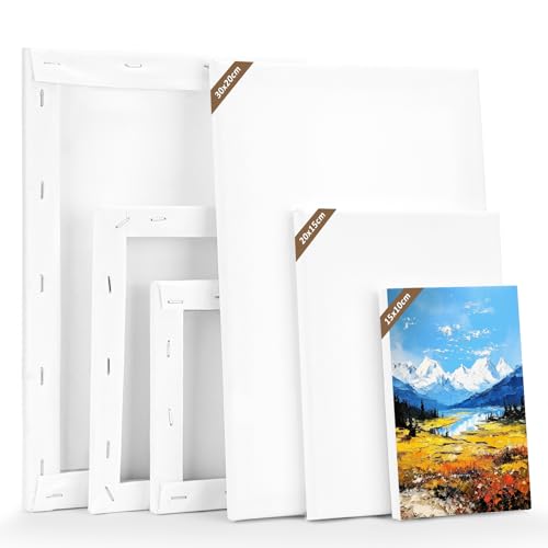 LUOJINYI leinwände Set, 6 Stück Leinwand zum Bemalen (30x20,20x15,15x10cm, je 2 Stück) Keilrahmen Leinwand, Baumwolle Malen Canvas Künstlertafelbilder für Acrylfarben Ölgemälde, Anfänger Künstler von LUOJINYI