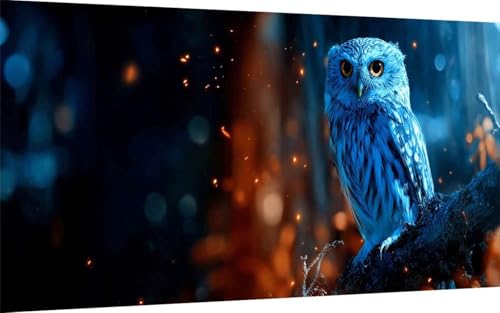 Diamond Painting Erwachsene, Diamond Painting Eule Crystal Art Tier Muster 5D DIY Diamant Malerei Cross Stitch Stickerei Basteln Erwachsene Set für Deko Wohnzimmer, Geschenke 100x200 cm -ly25075I Diamond Painting Erwachsene, Diamond Painting Eule Crystal Art Tier Muster 5D DIY Diamant Malerei Cross Stitch Stickerei Basteln Erwachsene Set für Deko Wohnzimmer, Geschenke 100x200 cm -ly25075I von LUOLYYEI