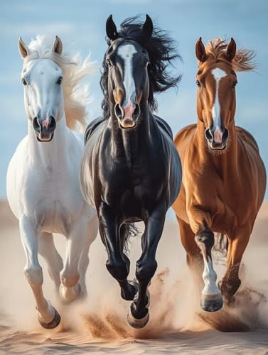 Diamond Painting Erwachsene, Diamond Painting Horse Crystal Art Tier Muster 5D DIY Diamant Malerei Cross Stitch Stickerei Basteln Erwachsene Set für Deko Wohnzimmer, Geschenke 60×80cm -ly25082F1 Diamond Painting Erwachsene, Diamond Painting Horse Crystal Art Tier Muster 5D DIY Diamant Malerei Cross Stitch Stickerei Basteln Erwachsene Set für Deko Wohnzimmer, Geschenke 60×80cm -ly25082F1 von LUOLYYEI