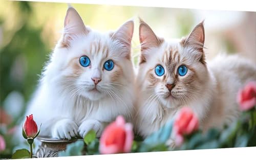 Diamond Painting Erwachsene, Diamond Painting Katze Crystal Art Tier Muster 5D DIY Diamant Malerei Cross Stitch Stickerei Basteln Erwachsene Set für Deko Wohnzimmer, Geschenke (40x80 cm) -ly2507N2 von LUOLYYEI