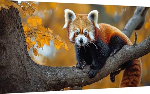 Diamond Painting Erwachsene, Diamond Painting Panda Crystal Art Tier Muster 5D DIY Diamant Malerei Cross Stitch Stickerei Basteln Erwachsene Set für Deko Wohnzimmer, Geschenke 100x200 cm -ly2507Q0 Diamond Painting Erwachsene, Diamond Painting Panda Crystal Art Tier Muster 5D DIY Diamant Malerei Cross Stitch Stickerei Basteln Erwachsene Set für Deko Wohnzimmer, Geschenke 100x200 cm -ly2507Q0 von LUOLYYEI