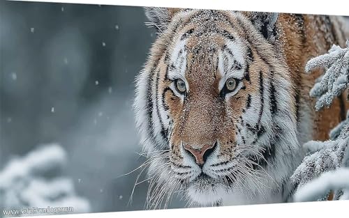Diamond Painting Erwachsene, Diamond Painting Tiger Crystal Art Tier Muster 5D DIY Diamant Malerei Cross Stitch Stickerei Basteln Erwachsene Set für Deko Wohnzimmer, Geschenke (40x80 cm) -ly25079E von LUOLYYEI