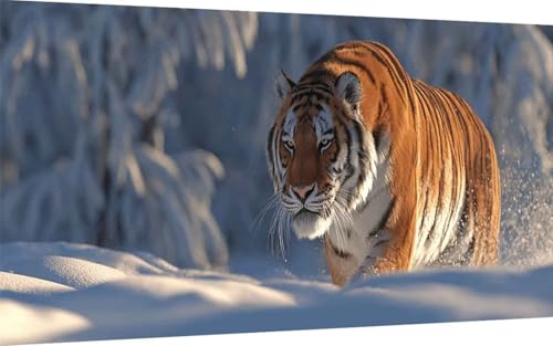Diamond Painting Erwachsene, Diamond Painting Tiger Crystal Art Tier Muster 5D DIY Diamant Malerei Cross Stitch Stickerei Basteln Erwachsene Set für Deko Wohnzimmer, Geschenke 100x200cm -ly2507FK Diamond Painting Erwachsene, Diamond Painting Tiger Crystal Art Tier Muster 5D DIY Diamant Malerei Cross Stitch Stickerei Basteln Erwachsene Set für Deko Wohnzimmer, Geschenke 100x200cm -ly2507FK von LUOLYYEI