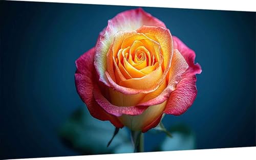 Diamond Painting Rose Diamond Painting XXL (30x60 cm), 5D Crystal Art Anlage Muster DIY Eckige Steine Vollbohrer Mosaik Bastelset Erwachsene für Zimmer Deko Wohnzimmer, Wanddeko, Geschenke -ly25070G von LUOLYYEI