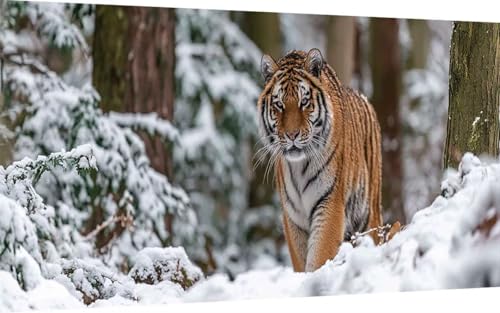 Diamond Painting Tiger Diamond Painting XXL 100x300 cm, 5D Crystal Art Tier Muster DIY Eckige Steine Vollbohrer Mosaik Bastelset Erwachsene für Zimmer Deko Wohnzimmer, Wanddeko, Geschenke -ly25078P Diamond Painting Tiger Diamond Painting XXL 100x300 cm, 5D Crystal Art Tier Muster DIY Eckige Steine Vollbohrer Mosaik Bastelset Erwachsene für Zimmer Deko Wohnzimmer, Wanddeko, Geschenke -ly25078P von LUOLYYEI