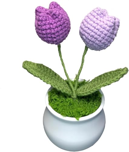 Gehäkelte Blumen Häkelblumen Niedliche Topfblume, Gestrickte Häkeln Plüsch Blume Geschenk Geburtstag, Süße Kleine Handgefertigte Topfpflanzen Gestrickt Künstliche Mini-Topfblumen Desktop Dekorationen Gehäkelte Blumen Häkelblumen Niedliche Topfblume, Gestrickte Häkeln Plüsch Blume Geschenk Geburtstag, Süße Kleine Handgefertigte Topfpflanzen Gestrickt Künstliche Mini-Topfblumen Desktop Dekorationen von LUYANFX