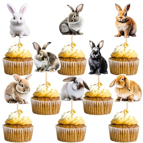Ostern Tortendeko Hase 16 Stück Kaninchen Tortendeko Bunny Cupcake Deko Muffin Cake Topper Oster Kuchen Deko kindergeburtstag Für Hasenpartys, Osterpartys, Tierische Themenpartys Ostern Tortendeko Hase 16 Stück Kaninchen Tortendeko Bunny Cupcake Deko Muffin Cake Topper Oster Kuchen Deko kindergeburtstag Für Hasenpartys, Osterpartys, Tierische Themenpartys von LUYANFX