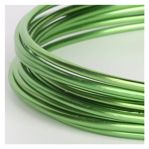 LVCHAO 3–10 Meter 1/1,5/2/2,5 mm runder Aluminiumdraht Metallhandwerk Perlendraht zur Schmuckherstellung DIY-Zubehör Für DIY-Schmuckherstellung, Modellskulpturen(Light Green,2.5mm 3.0meter) von LVCHAO