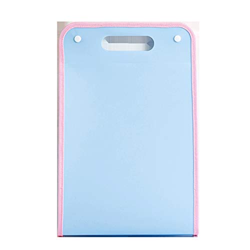 LVUNZJCA Dokumentenmappe Vertikale tragbare Orgeltasche 13 Grid PP Multi-Layer-Ordner Student Student Information Bag Büro Briefpapier für Schule, Büro von LVUNZJCA