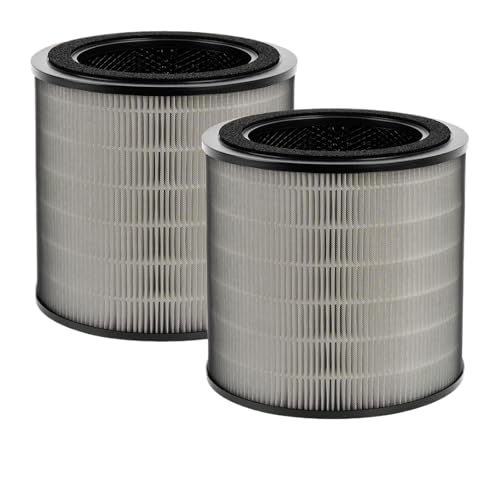 LVUPRTVH Kompatibel Mit Philips, 900 Serie AC0951/13 AC0950/10 Luftreiniger, H13 Aktivkohlefilter Und FY0910/30 Vorfilter FY0910 Filter(2PCS) von LVUPRTVH
