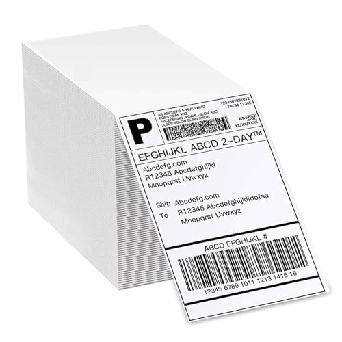 LVYUAN Thermopapier Versandetiketten 4×6 DHL Etiketten (100 mm × 150 mm), Wasserfester Versandaufkleber für Labeldrucker (500 Stück) von LVYUAN