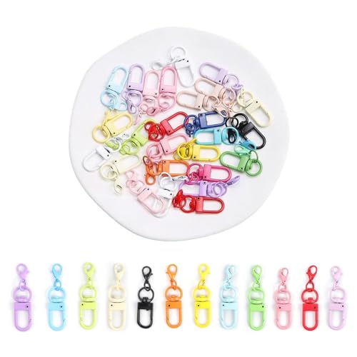 LWLWA Schlüsselanhänger Bunt 40 Stück, Zinklegierung Karabinerhaken Schlüsselanhänger, Farbe Schlüsselring Karabiner, Karabinerhaken, Geeignet für Handtaschen, Schlüssel, Heimwerkerhandwerk LWLWA Schlüsselanhänger Bunt 40 Stück, Zinklegierung Karabinerhaken Schlüsselanhänger, Farbe Schlüsselring Karabiner, Karabinerhaken, Geeignet für Handtaschen, Schlüssel, Heimwerkerhandwerk von LWLWA