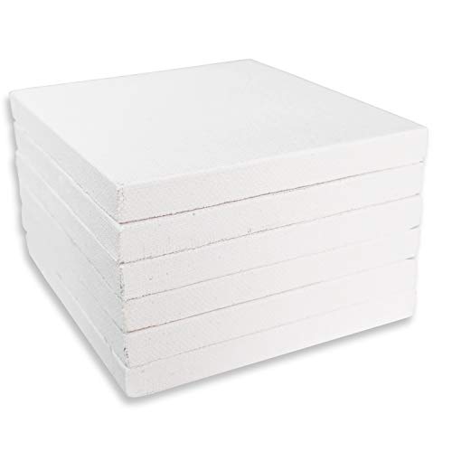 LWR CRAFTS Mini-Leinwand auf Keilrahmen 4″ x 4″ 10 cm x 10 cm 6er Pack LWR CRAFTS Mini-Leinwand auf Keilrahmen 4″ x 4″ 10 cm x 10 cm 6er Pack von LWR CRAFTS