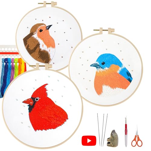 LX LERMX Sticksets für Anfänger, Anfänger, Anfänger, Kreuzstich-Set, komplettes DIY-Set mit einzigartigen Mustern, Reifen, bunten Fäden, Werkzeugen, Schritt-für-Schritt-Anleitung (evtl. nicht in von LX LERMX