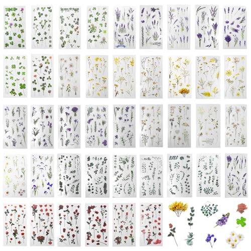 LXBCTOP 650 Stück Transparente Scrapbooking Sticker, PET Blumen Pflanzen Aufkleber, Bunte Vintage Sticker, Selbstklebend Wasserfeste Scrapbook Stickers für Fotoalbum Laptop Journaling Sammelalbum LXBCTOP 650 Stück Transparente Scrapbooking Sticker, PET Blumen Pflanzen Aufkleber, Bunte Vintage Sticker, Selbstklebend Wasserfeste Scrapbook Stickers für Fotoalbum Laptop Journaling Sammelalbum von LXBCTOP