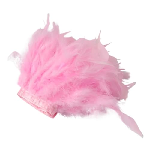 LXLAEOANG 1/5/10 Meter Bunte Federn, Fransen, Bastelband, 10–15 cm, for Kleidung, Nähen, Hochzeitskleid, Dekoration, Band, Federn für Nähen Handwerk(Pink,10M) von LXLAEOANG