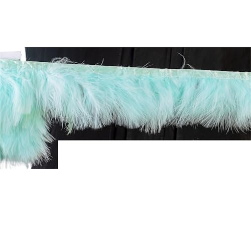 LXLAEOANG 1 Meter Flauschige Federn, Fransenband, 10–15 cm, Feder auf Band, Fransen, Nähen, Party, Kleidung, Kleid, Dekoration für Nähen Handwerk(Mint Green) von LXLAEOANG