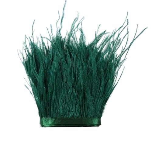 LXLAEOANG 1 m, 6–22 cm, Straußenfedern, Besatz for Hochzeitskleid, Kleidung, Accessoires, Party-Dekoration, Pflaumenfransen für Nähen Handwerk(Dark Green,8-10 cm) von LXLAEOANG