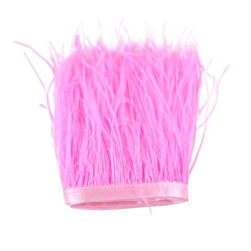 LXLAEOANG 1 m, 6–22 cm, Straußenfedern, Besatz for Hochzeitskleid, Kleidung, Accessoires, Party-Dekoration, Pflaumenfransen für Nähen Handwerk(Deep pink,18-22 cm) von LXLAEOANG