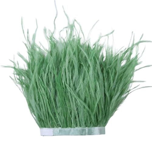 LXLAEOANG 1 m, 6–22 cm, Straußenfedern, Besatz for Hochzeitskleid, Kleidung, Accessoires, Party-Dekoration, Pflaumenfransen für Nähen Handwerk(Green3,10-15CM) von LXLAEOANG