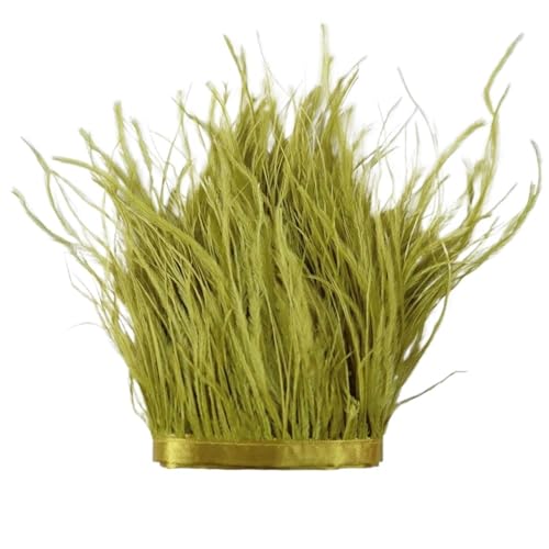 LXLAEOANG 1 m, 6–22 cm, Straußenfedern, Besatz for Hochzeitskleid, Kleidung, Accessoires, Party-Dekoration, Pflaumenfransen für Nähen Handwerk(Green4,15-18 cm) von LXLAEOANG