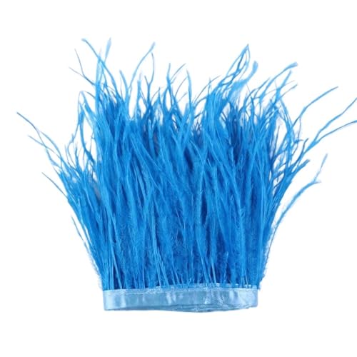 LXLAEOANG 1 m, 6–22 cm, Straußenfedern, Besatz for Hochzeitskleid, Kleidung, Accessoires, Party-Dekoration, Pflaumenfransen für Nähen Handwerk(Lake Blue,8-10 cm) von LXLAEOANG