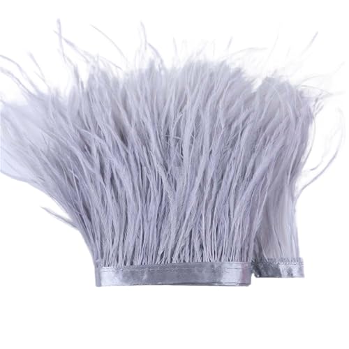 LXLAEOANG 1 m, 6–22 cm, Straußenfedern, Besatz for Hochzeitskleid, Kleidung, Accessoires, Party-Dekoration, Pflaumenfransen für Nähen Handwerk(Light Gray,8-10 cm) von LXLAEOANG