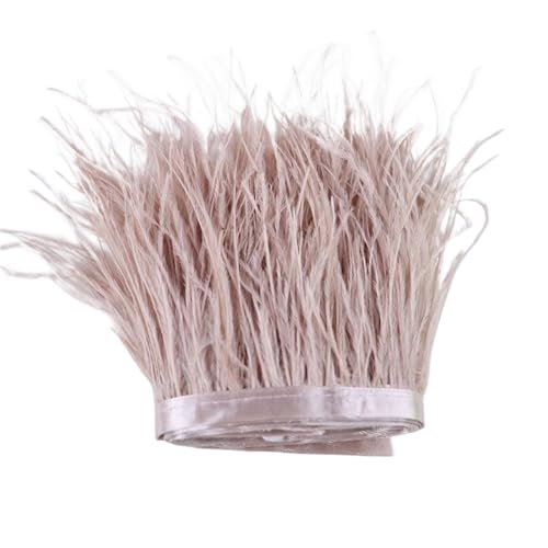 LXLAEOANG 1 m, 6–22 cm, Straußenfedern, Besatz for Hochzeitskleid, Kleidung, Accessoires, Party-Dekoration, Pflaumenfransen für Nähen Handwerk(Pink2,15-18 cm) von LXLAEOANG