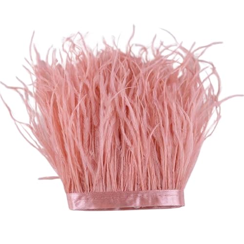 LXLAEOANG 1 m, 6–22 cm, Straußenfedern, Besatz for Hochzeitskleid, Kleidung, Accessoires, Party-Dekoration, Pflaumenfransen für Nähen Handwerk(Pink5,8-10 cm) von LXLAEOANG