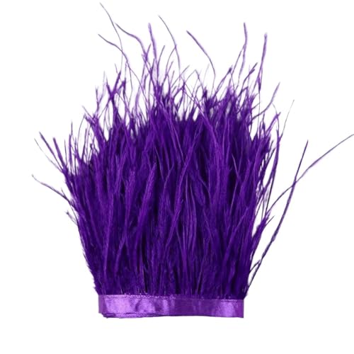 LXLAEOANG 1 m, 6–22 cm, Straußenfedern, Besatz for Hochzeitskleid, Kleidung, Accessoires, Party-Dekoration, Pflaumenfransen für Nähen Handwerk(Purple,8-10 cm) von LXLAEOANG
