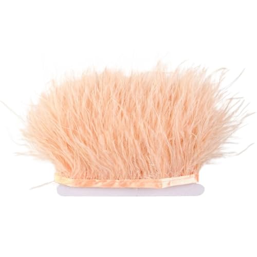 LXLAEOANG 1 m Flauschige Straußenfedern, Fransenbesatz, 8–10 cm, Hochzeitsfeier, Dekoration, Federband for Kleid, Kleidung, Nähen, Basteln für Nähen Handwerk(Champagne) von LXLAEOANG