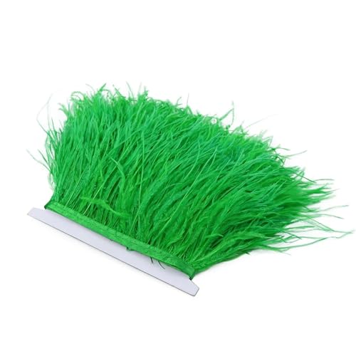LXLAEOANG 1 m Flauschige Straußenfedern, Fransenbesatz, 8–10 cm, Hochzeitsfeier, Dekoration, Federband for Kleid, Kleidung, Nähen, Basteln für Nähen Handwerk(Grass Green) von LXLAEOANG
