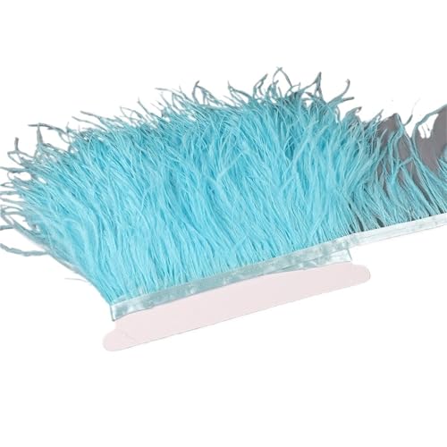 LXLAEOANG 10–15 cm Straußenfedern auf Band, Band, Fransenbesatz for Nähen von Garnituren, Federn in Kleidern, Kostümen für Nähen Handwerk(22,5 Meters) von LXLAEOANG