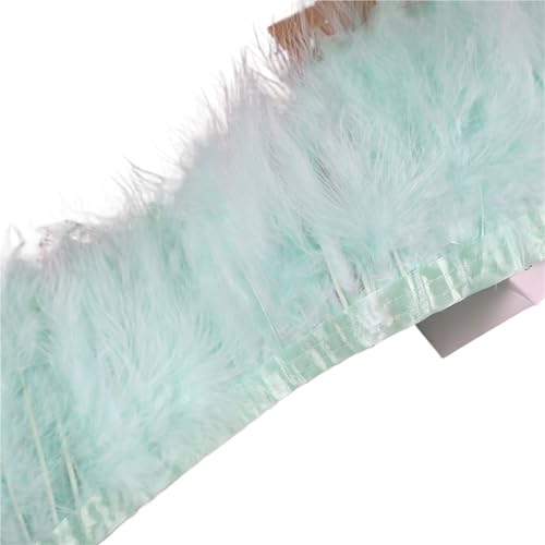 LXLAEOANG 10 Meter Federbesatzband, Federfransen for Hochzeitskleid, Dekor, Nähzubehör für Nähen Handwerk(Mint Green) von LXLAEOANG