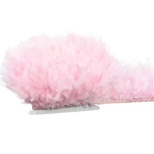 LXLAEOANG 10 Meter Flauschige Federn, Quasten, Fransenbesatz, Band, Feder auf Band, Nähen, Besatz, Kleidung, Kleid, Dekoration für Nähen Handwerk(24.Light Pink) von LXLAEOANG
