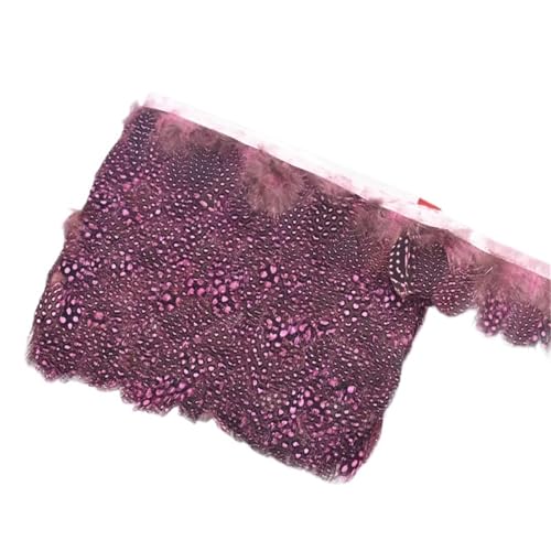 LXLAEOANG 10 Meter Geflügelfederbesatz Quaste Fransenband Fasanenfedern for Kleidungsbesätze Kostüm Nähen Bekleidungszubehör für Nähen Handwerk(Pink) von LXLAEOANG