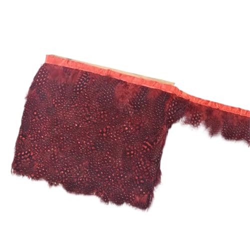 LXLAEOANG 10 Meter Geflügelfederbesatz Quaste Fransenband Fasanenfedern for Kleidungsbesätze Kostüm Nähen Bekleidungszubehör für Nähen Handwerk(Red) von LXLAEOANG