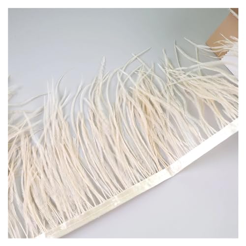 LXLAEOANG 10 Meter Straußenfedern, Fransenbesatz for Handarbeiten und Kunsthandwerk, Federkleid-Zubehör, Federn, Fransen for Kleidung für Nähen Handwerk(Beige) von LXLAEOANG