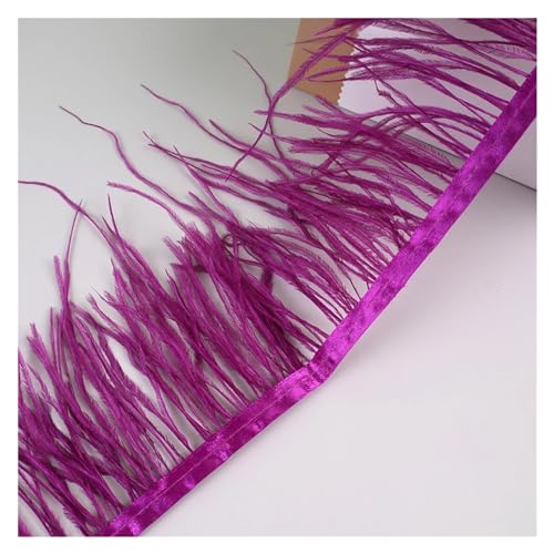 LXLAEOANG 10 Meter Straußenfedern, Fransenbesatz for Handarbeiten und Kunsthandwerk, Federkleid-Zubehör, Federn, Fransen for Kleidung für Nähen Handwerk(Burgundy) von LXLAEOANG