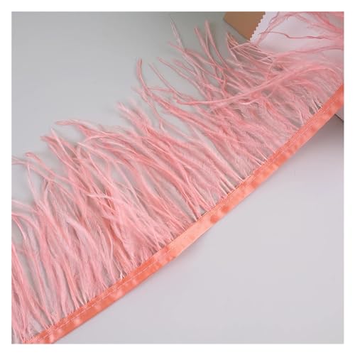 LXLAEOANG 10 Meter Straußenfedern, Fransenbesatz for Handarbeiten und Kunsthandwerk, Federkleid-Zubehör, Federn, Fransen for Kleidung für Nähen Handwerk(Dark Coral) von LXLAEOANG
