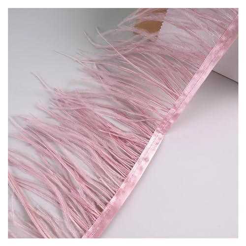 LXLAEOANG 10 Meter Straußenfedern, Fransenbesatz for Handarbeiten und Kunsthandwerk, Federkleid-Zubehör, Federn, Fransen for Kleidung für Nähen Handwerk(Leather pink1) von LXLAEOANG