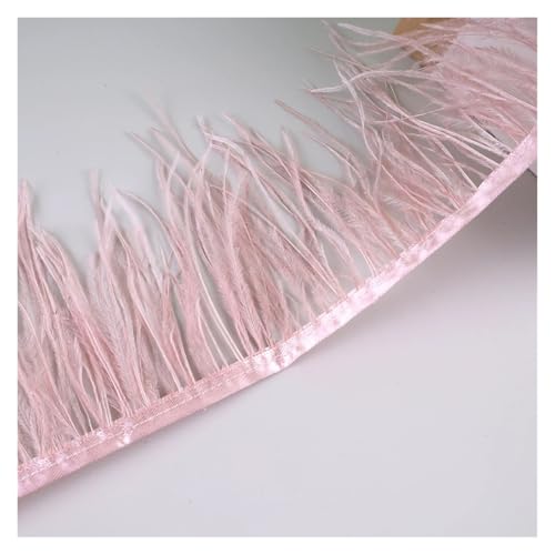 LXLAEOANG 10 Meter Straußenfedern, Fransenbesatz for Handarbeiten und Kunsthandwerk, Federkleid-Zubehör, Federn, Fransen for Kleidung für Nähen Handwerk(Leather pink2) von LXLAEOANG