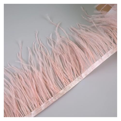 LXLAEOANG 10 Meter Straußenfedern, Fransenbesatz for Handarbeiten und Kunsthandwerk, Federkleid-Zubehör, Federn, Fransen for Kleidung für Nähen Handwerk(Light Coral) von LXLAEOANG